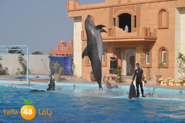 sharmelskhe8634 (23).jpg